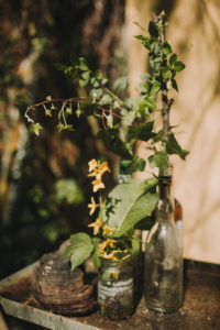 Glasses, bottle, flowers and ivy