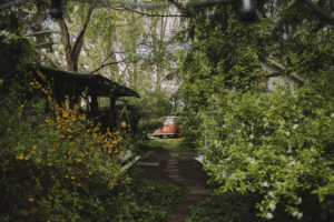 Alternative garden, property, way, old VW bus, Alternative garden, property, way, old VW bus,