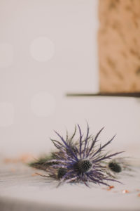 Table, blue thistle, blur,