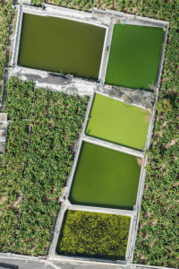 Color play in the water tanks of the banana plantations in Puerto Naos, La Palma, aerial, Canary Islands, Spain Color play in the water tanks of the banana plantations in Puerto Naos, La Palma, aerial, Canary Islands, Spain