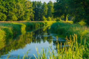 Small river in Luckenwalde in the Summer Small river in Luckenwalde in the Summer