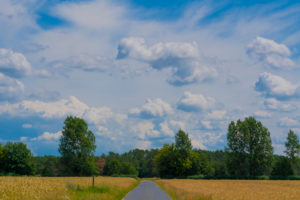 Agricultural area on a sunny day in summer with big clouds, small country farm road between the fields Agricultural area on a sunny day in summer with big clouds, small country farm road between the fields