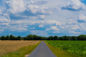 Agricultural area on a sunny day in summer with big clouds, small country farm road between the fields Agricultural area on a sunny day in summer with big clouds, small country farm road between the fields