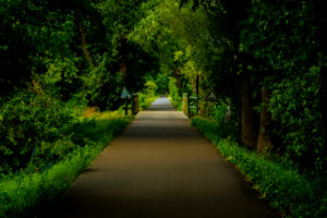 The bike path on the Flaeming Skate in the vicinity of Luckenwalde The bike path on the Flaeming Skate in the vicinity of Luckenwalde