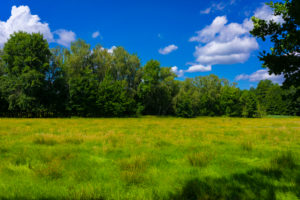 Agricultural area on a sunny day in summer with big clouds Agricultural area on a sunny day in summer with big clouds