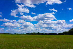 Agricultural area on a sunny day in summer with big clouds Agricultural area on a sunny day in summer with big clouds