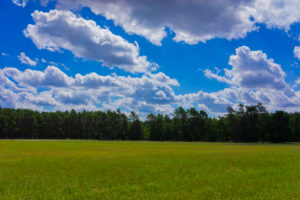 Agricultural area on a sunny day in summer with big clouds Agricultural area on a sunny day in summer with big clouds