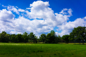 Agricultural area on a sunny day in summer with big clouds Agricultural area on a sunny day in summer with big clouds