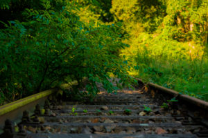 old railway tracks, the are overgrown old railway tracks, the are overgrown
