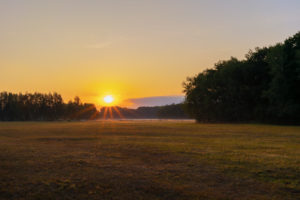 Sunrise in the summer in Germany Sunrise in the summer in Germany