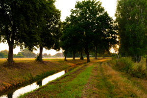shortly after sunrise along a small river shortly after sunrise along a small river