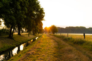 Sunrise in summer in Germany on a small river Sunrise in summer in Germany on a small river