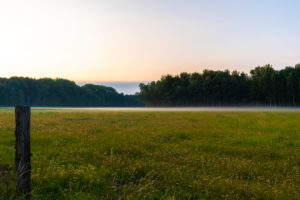 light mist at sunrise in summer on a pasture light mist at sunrise in summer on a pasture