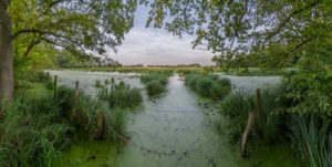 Germany, Lower Saxony, Riddagshausen, landscape, nature reserve Germany, Lower Saxony, Riddagshausen, landscape, nature reserve