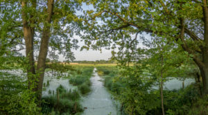 Germany, Lower Saxony, Riddagshausen, landscape, nature reserve Germany, Lower Saxony, Riddagshausen, landscape, nature reserve