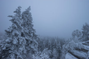 Germany, Saxony-Anhalt, Harz National Park in winter Germany, Saxony-Anhalt, Harz National Park in winter