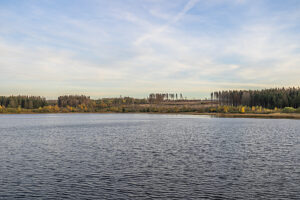 Germany, Lower Saxony, Clausthal-Zellerfeld, Hirschler pond in fall
