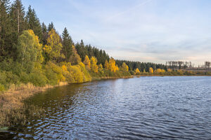 Germany, Lower Saxony, Clausthal-Zellerfeld, Hirschler pond in fall