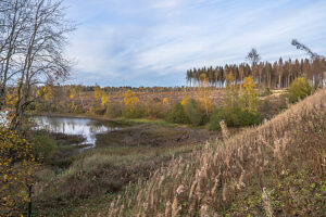 Germany, Lower Saxony, Clausthal-Zellerfeld, Oberer Pfauenteich in fall