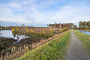Germany, Lower Saxony, Clausthal-Zellerfeld, Dam & Upper Peacock Pond in fall