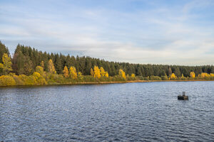 Germany, Lower Saxony, Clausthal-Zellerfeld, Hirschler pond in fall
