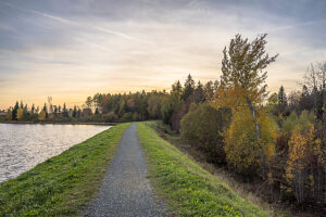 Germany, Lower Saxony, Clausthal-Zellerfeld, Dam and Hirschler Pond in fall