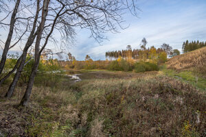 Germany, Lower Saxony, Clausthal-Zellerfeld, Oberer Pfauenteich in fall