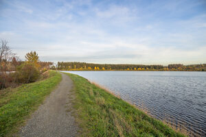 Germany, Lower Saxony, Clausthal-Zellerfeld, Hirschler pond in fall