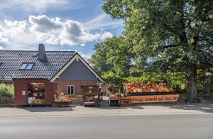Germany, Lower Saxony, Gifhorn, Pumpkins for sale