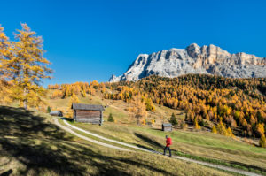 Hochabtei / Alta Badia, Provinz Bozen, Südtirol, Italien, Europa. Im Aufstieg zu den Armentarawiesen. Im Hintergrund die Gipfel der Neunerspitze, Zehnerspitze und Heiligkreuzkofel Hochabtei / Alta Badia, Provinz Bozen, Südtirol, Italien, Europa. Im Aufstieg zu den Armentarawiesen. Im Hintergrund die Gipfel der Neunerspitze, Zehnerspitze und Heiligkreuzkofel