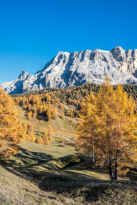 Hochabtei / Alta Badia, Provinz Bozen, Südtirol, Italien, Europa. Herbst auf den Armentarawiesen, darüber die Felswände des Neuner, Zehner und Heiligkreuzkofel Hochabtei / Alta Badia, Provinz Bozen, Südtirol, Italien, Europa. Herbst auf den Armentarawiesen, darüber die Felswände des Neuner, Zehner und Heiligkreuzkofel