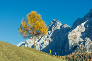 Hochabtei / Alta Badia, Provinz Bozen, Südtirol, Italien, Europa. Kinder wandern über die Armentarawiesen, im Hintergrund die Neunerspitze Hochabtei / Alta Badia, Provinz Bozen, Südtirol, Italien, Europa. Kinder wandern über die Armentarawiesen, im Hintergrund die Neunerspitze