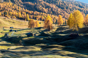 Hochabtei / Alta Badia, Provinz Bozen, Südtirol, Italien, Europa. Herbst auf den Armentarawiesen Hochabtei / Alta Badia, Provinz Bozen, Südtirol, Italien, Europa. Herbst auf den Armentarawiesen