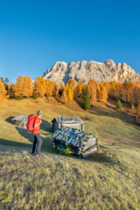 Hochabtei / Alta Badia, Provinz Bozen, Südtirol, Italien, Europa. Sonnenuntergang über den Armentarawiesen, darüber die Felswände des Neuner, Zehner und Heiligkreuzkofel Hochabtei / Alta Badia, Provinz Bozen, Südtirol, Italien, Europa. Sonnenuntergang über den Armentarawiesen, darüber die Felswände des Neuner, Zehner und Heiligkreuzkofel