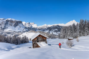 Hochabtei / Alta Badia, Provinz Bozen, Südtirol, Italien, Europa. Im Aufstieg mit Schneeschuhen zu den Armentarawiesen. Im Hintergrund die Puezgruppe und der Peilterkofel Hochabtei / Alta Badia, Provinz Bozen, Südtirol, Italien, Europa. Im Aufstieg mit Schneeschuhen zu den Armentarawiesen. Im Hintergrund die Puezgruppe und der Peilterkofel