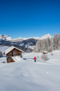 Hochabtei / Alta Badia, Bolzano province, South Tyrol, Italy, Europe. Ascending with snowshoes to the Armentara meadows. In the background the Puez Group and the Peilterkofel Hochabtei / Alta Badia, Bolzano province, South Tyrol, Italy, Europe. Ascending with snowshoes to the Armentara meadows. In the background the Puez Group and the Peilterkofel