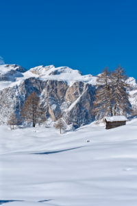 Hochabtei / Alta Badia, Provinz Bozen, Südtirol, Italien, Europa. Winter auf den Armentarawiesen. Im Hintergrund die die Gardenaccia-Hochfläche Hochabtei / Alta Badia, Provinz Bozen, Südtirol, Italien, Europa. Winter auf den Armentarawiesen. Im Hintergrund die die Gardenaccia-Hochfläche