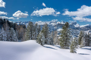 Hochabtei / Alta Badia, Provinz Bozen, Südtirol, Italien, Europa. Winter auf den Armentarawiesen. Im Hintergrund die Sellagruppe, die Puezgruppe und die Geislerspitzen Hochabtei / Alta Badia, Provinz Bozen, Südtirol, Italien, Europa. Winter auf den Armentarawiesen. Im Hintergrund die Sellagruppe, die Puezgruppe und die Geislerspitzen