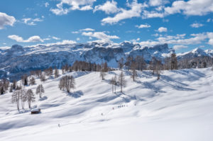 Hochabtei / Alta Badia, Provinz Bozen, Südtirol, Italien, Europa. Winter auf den Armentarawiesen. Im Hintergrund die Puezgruppe und die Geislerspitzen Hochabtei / Alta Badia, Provinz Bozen, Südtirol, Italien, Europa. Winter auf den Armentarawiesen. Im Hintergrund die Puezgruppe und die Geislerspitzen