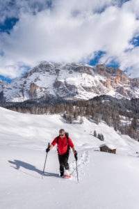 Hochabtei / Alta Badia, Provinz Bozen, Südtirol, Italien, Europa. Im Aufstieg mit Schneeschuhen zu den Armentarawiesen. Im Hintergrund die Gipfel der Neunerspitze, Zehnerspitze und Heiligkreuzkofel Hochabtei / Alta Badia, Provinz Bozen, Südtirol, Italien, Europa. Im Aufstieg mit Schneeschuhen zu den Armentarawiesen. Im Hintergrund die Gipfel der Neunerspitze, Zehnerspitze und Heiligkreuzkofel
