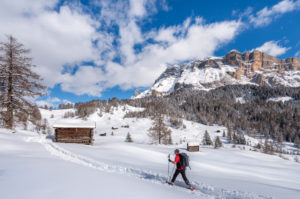 Hochabtei / Alta Badia, Provinz Bozen, Südtirol, Italien, Europa. Im Aufstieg mit Schneeschuhen zu den Armentarawiesen. Im Hintergrund die Gipfel der Neunerspitze, Zehnerspitze und Heiligkreuzkofel Hochabtei / Alta Badia, Provinz Bozen, Südtirol, Italien, Europa. Im Aufstieg mit Schneeschuhen zu den Armentarawiesen. Im Hintergrund die Gipfel der Neunerspitze, Zehnerspitze und Heiligkreuzkofel