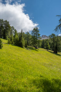 Aldein, Province of Bolzano, South Tyrol, Italy. Geoparc Bletterbach. THE ALDEINER WHITE HORN Aldein, Province of Bolzano, South Tyrol, Italy. Geoparc Bletterbach. THE ALDEINER WHITE HORN
