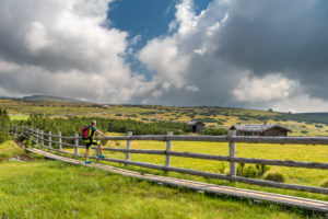 Villanders, Provinz Bozen, Südtirol, Italien. Ein Wanderer unterwegs auf der Villanderer Alm Villanders, Provinz Bozen, Südtirol, Italien. Ein Wanderer unterwegs auf der Villanderer Alm