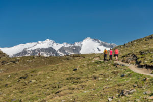 Sand in Taufers, Provinz Bozen, Sdtirol, Italien. Wanderer auf dem Panoramaweg im Wandergebiet Speikboden. Im Hintergrund die Gipfel Großer Mseler und Turnerkamp Sand in Taufers, Provinz Bozen, Sdtirol, Italien. Wanderer auf dem Panoramaweg im Wandergebiet Speikboden. Im Hintergrund die Gipfel Großer Mseler und Turnerkamp