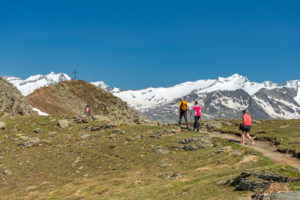 Sand in Taufers, Provinz Bozen, Sdtirol, Italien. Wanderer auf dem Panoramaweg im Wandergebiet Speikboden. Im Hintergrund die Gipfel Hochfeiler, Hoher Weisszint und Großer Mseler Sand in Taufers, Provinz Bozen, Sdtirol, Italien. Wanderer auf dem Panoramaweg im Wandergebiet Speikboden. Im Hintergrund die Gipfel Hochfeiler, Hoher Weisszint und Großer Mseler