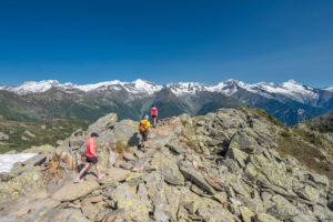 Sand in Taufers, Provinz Bozen, Südtirol, Italien. Wanderer auf dem Panoramaweg im Wandergebiet Speikboden. Im Hintergrund die Zillertaler Alpen mit den Gipfeln Hochfeiler, Weisszint, Grosser Möseler, Turnerkamp, Schwarzenstein und Grosser Löffler Sand in Taufers, Provinz Bozen, Südtirol, Italien. Wanderer auf dem Panoramaweg im Wandergebiet Speikboden. Im Hintergrund die Zillertaler Alpen mit den Gipfeln Hochfeiler, Weisszint, Grosser Möseler, Turnerkamp, Schwarzenstein und Grosser Löffler