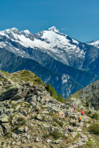 Sand in Taufers, Provinz Bozen, Südtirol, Italien. Wanderer auf dem Panoramaweg im Wandergebiet Speikboden. Im Hintergrund die Zillertaler Alpen mit den Gipfeln der Floitenspitze und Grosser Löffler Sand in Taufers, Provinz Bozen, Südtirol, Italien. Wanderer auf dem Panoramaweg im Wandergebiet Speikboden. Im Hintergrund die Zillertaler Alpen mit den Gipfeln der Floitenspitze und Grosser Löffler