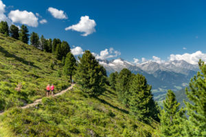 Sand in Taufers, Bolzano Province, South Tyrol, Italy. Hikers on the panorama trail in the Speikboden hiking area. In the background the Zillertal Alps with the peaks Grossen Löffler, Keilbachspitze and Wollbachspitze Sand in Taufers, Bolzano Province, South Tyrol, Italy. Hikers on the panorama trail in the Speikboden hiking area. In the background the Zillertal Alps with the peaks Grossen Löffler, Keilbachspitze and Wollbachspitze