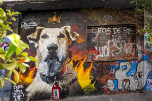 Athens, Greece. Street art in the Psirri (also Psiri or Psyri) district, pictured here is the famous street dog Loukanikos