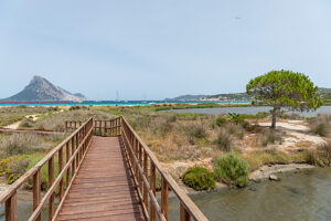 Loiri Porto San Paolo, Province of Olbia-Tempio, Sardinia, Italy, Europe. View from Porto Taverna to the island of Tavolara